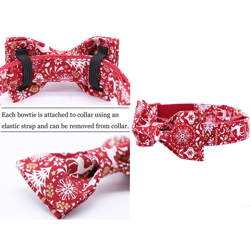 ON SALE: Christmas Collar and Bowtie