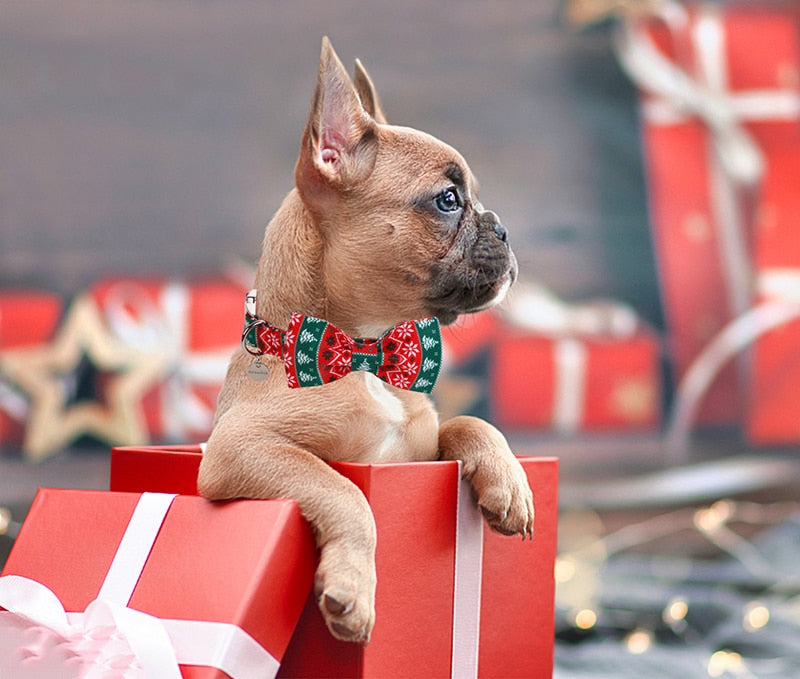 ON SALE: Tis the season collar and bowtie